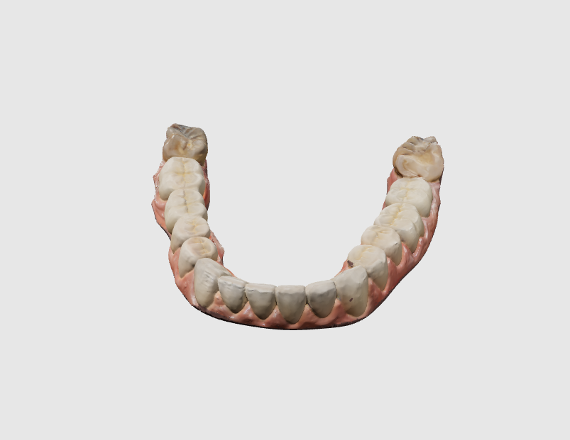 Still image of the 3D model with a technically prepared surface